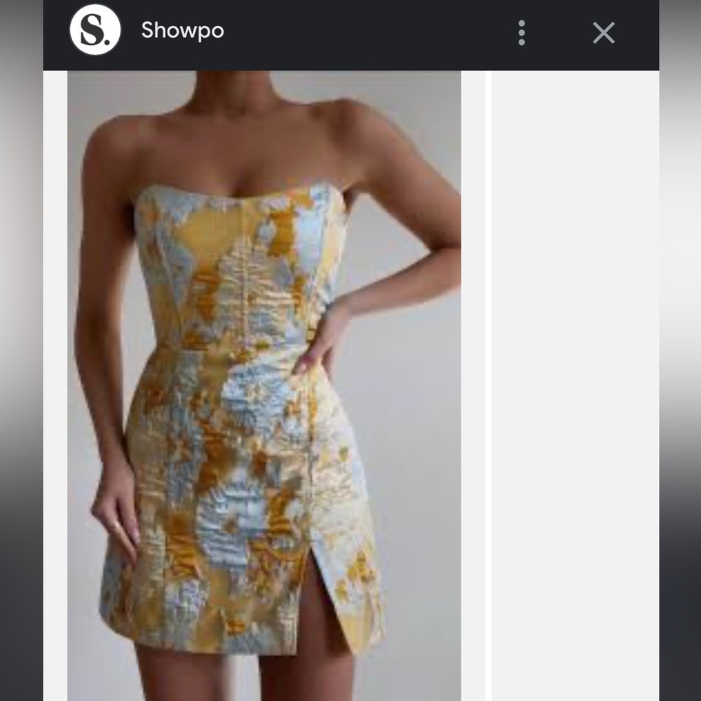 Showpo Brailey Dress